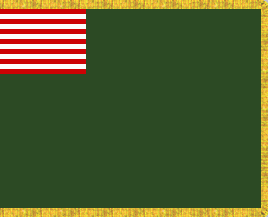 [flag of the Delaware Regiment at the Battle of Long Island]
